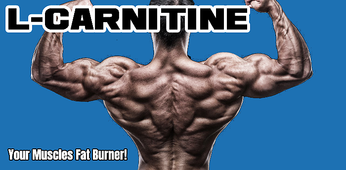 L-Carnitine
